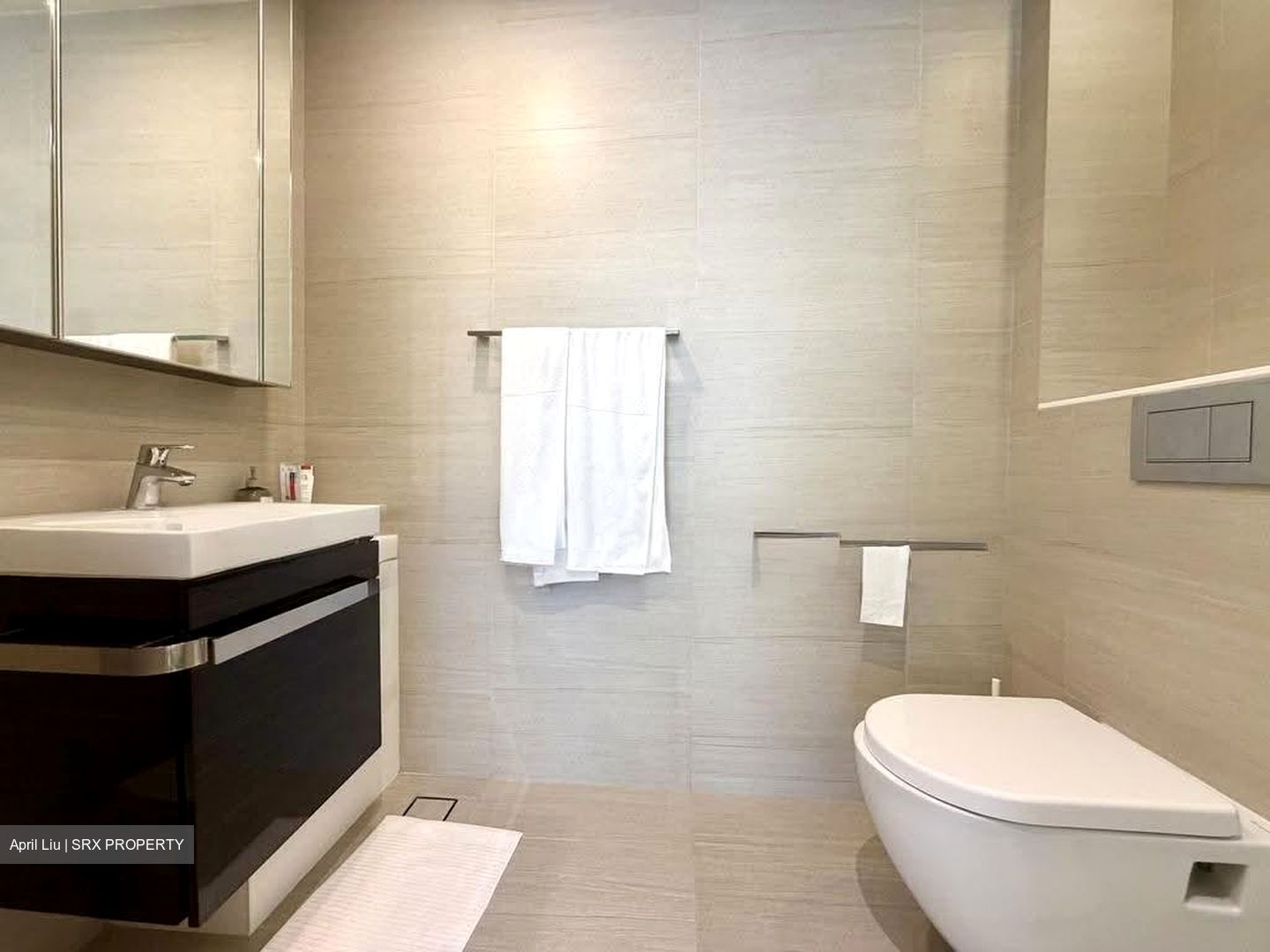 Sant Ritz (D13), Condominium #628384231